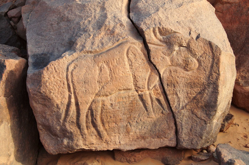 Messak Plateau, Libya, LIBMES0170104