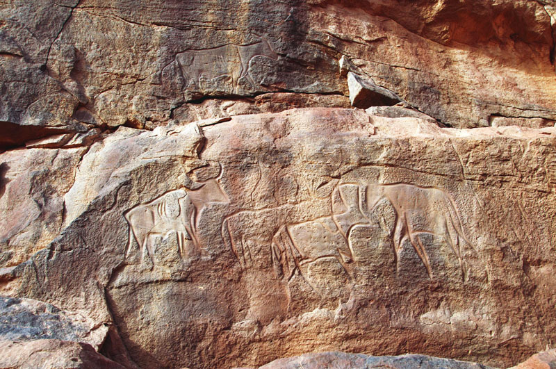 Messak Plateau, Libya, LIBMES0180032