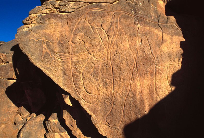Messak. Details of polished elephant and human engravings (from 54) the man is apparently ready to throw a throwing stick (boomerang). Early hunter period. Image ID: libmes0040053