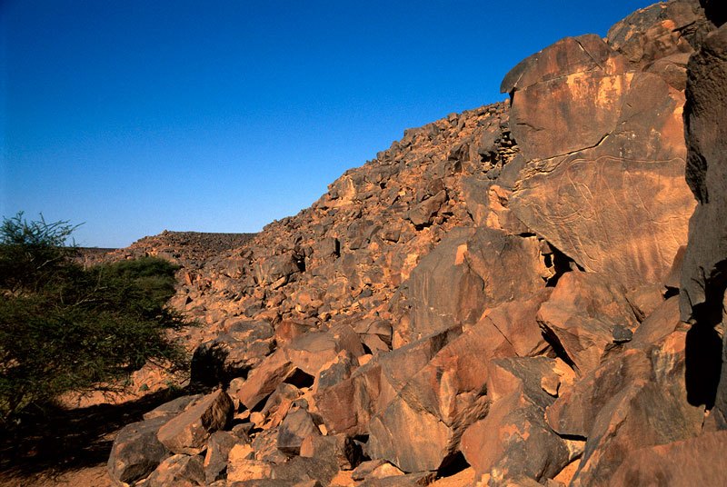 Messak. Oblique view of rock art site – at the foreground (right) is an engraving of an elephant facing left. Next to the elephant is a tiny human figure. Image ID: libmes0040054