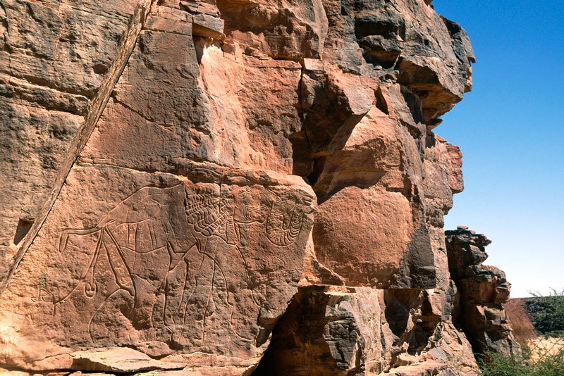 Image ID: libmes0070001