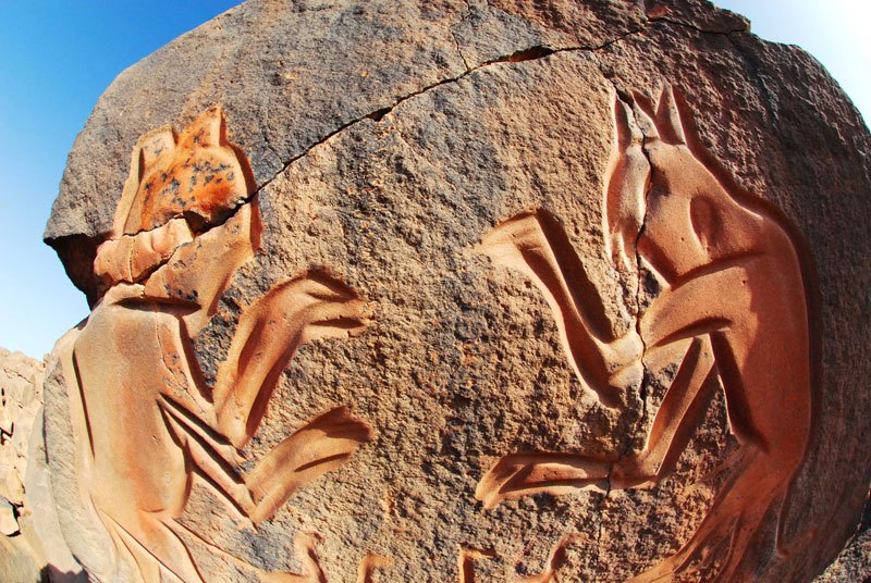 Messak. Close up of ‘Fighting cats’ engravings. Image ID: libmes0170013