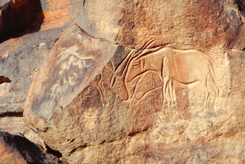 Messak. Polished engravings of 2 antelopes, facing each other. Image ID: libmes0170026