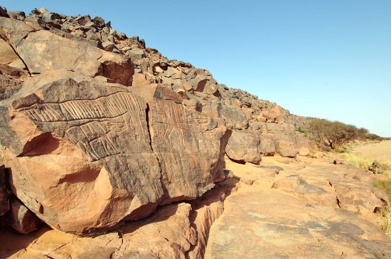 Image ID: libmes0170030