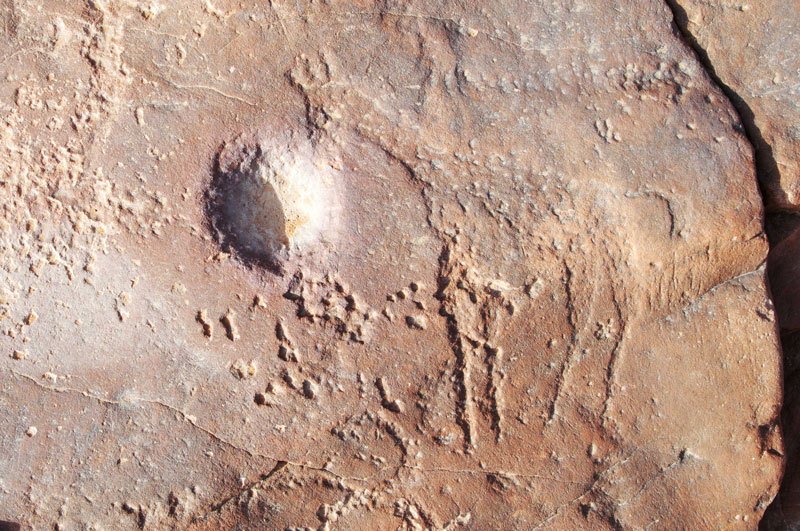 Messak. Pecked engraving of giraffe facing left. Cupule below mouth of giraffe. Perhaps representing a waterhole. Image ID: libmes0170042