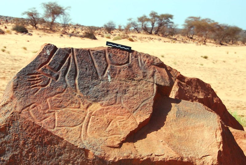 Messak. Broken piece of boulder with engravings of mythical humans fallen from cliff above. Example of fragility of site. Image ID: libmes0170043