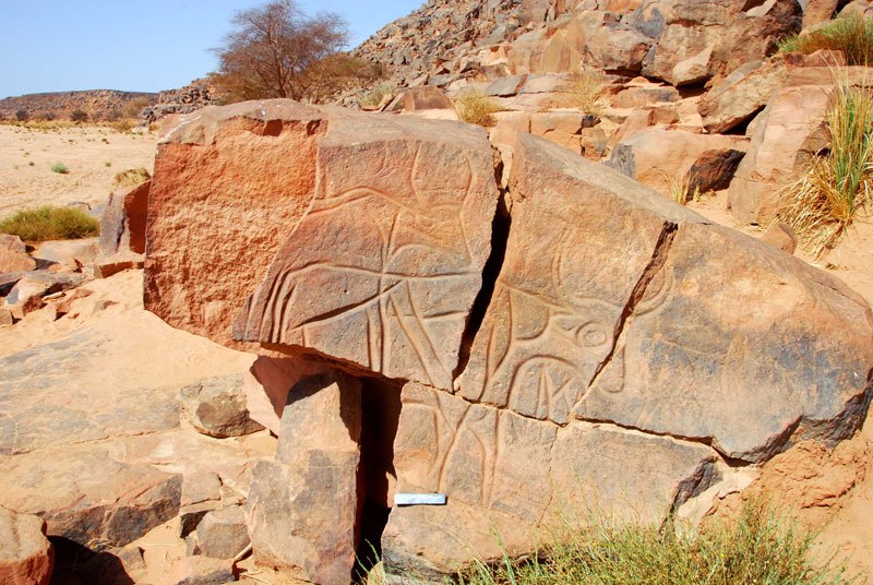 Messak. Broken boulder with engravings of teo cows with large eyes. Image ID: libmes0170045