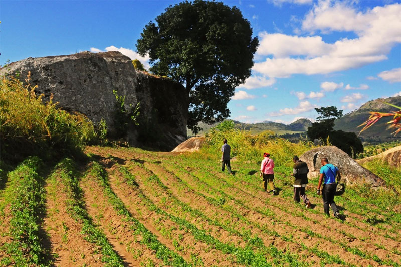 Mphunzi, Malawi, malmph0010001