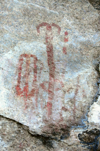 Mphunzi, Malawi, malmph0050010