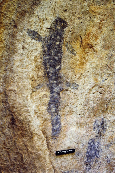 Mphunzi, Malawi, malmph0070020