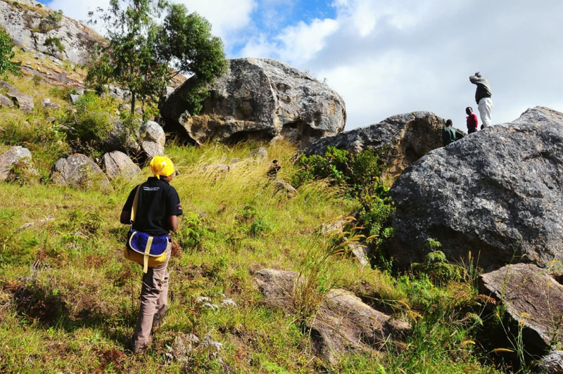 Nsama wa ng'ombi, Malawi, malnsa0010004