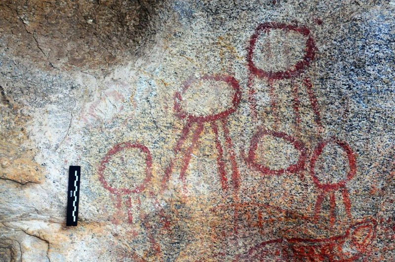 Nsama wa ng'ombi, Malawi, malnsa0010008