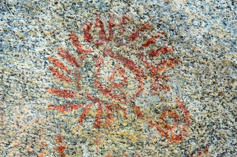 Nsama wa ng'ombi, Malawi, malnsa0010010