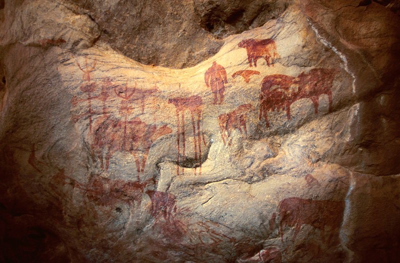 Tagant, Mauritania. On bulge between back wall and roof of shelter, thickset red man facing forwards, red cows, red cow with elongated legs, red shape (predator?), red tridents on vertical crossed bars. Image ID: mautag0080024