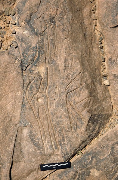 Atlas Mountains, Morocco. Double lower grindstone with ‘belt and flap’ design in one depression and carefully incised spiral in other depression. Image ID: moratm0010225