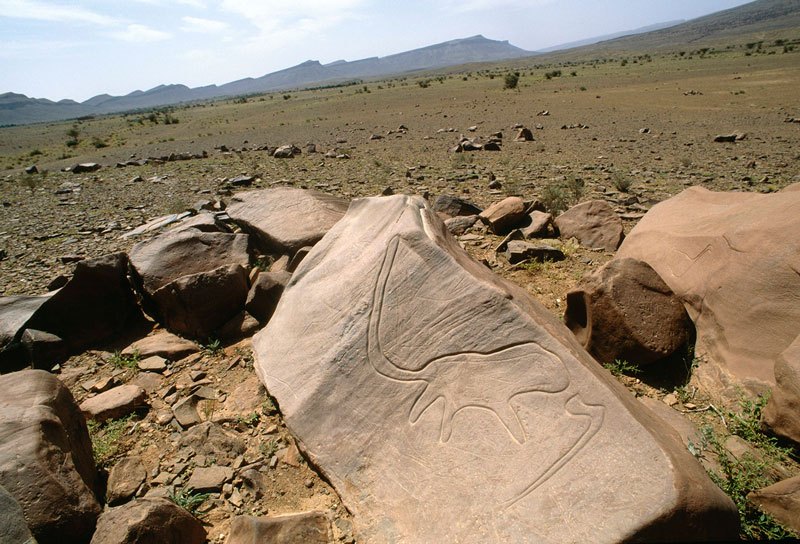 Atlas Mountains, Morocco. Tazina-style outline engraving of lion facing axe. Image ID: moratm0020035