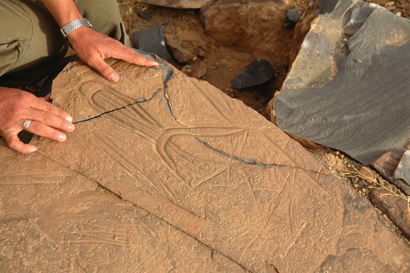 Atlas Mountains, Morocco. Recording damage to an engraved rock. Image ID: moratm0040034
