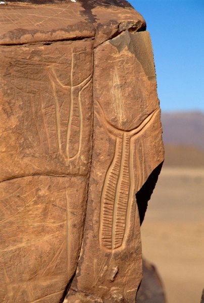 Atlas Mountains, Morocco. Large vertical sandstone face with Tazina-style engravings of two decorated ‘belt-and-flap’ designs. Recent scratching above right design. Image ID: moratm0050008