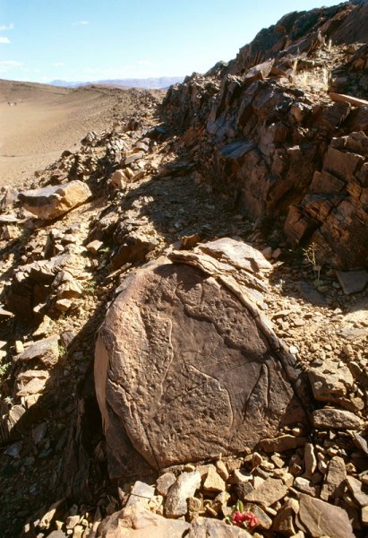 Atlas Mountains, Morocco. Small rough rock with hollowed and polished silhouette engraving of domestic bull facing left. Image ID: moratm0050043