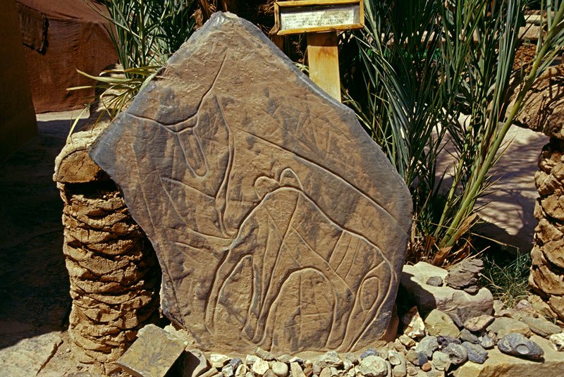 Atlas Mountains, Morocco. Engraving on a loose sandstone boulder of an elephant facing left. The elephant is engraved in the Tazina style and is 5 000 or more years old. This engraving was removed from its original site and now stands in the garden of a tourist lodge. Image ID: moratm0110001