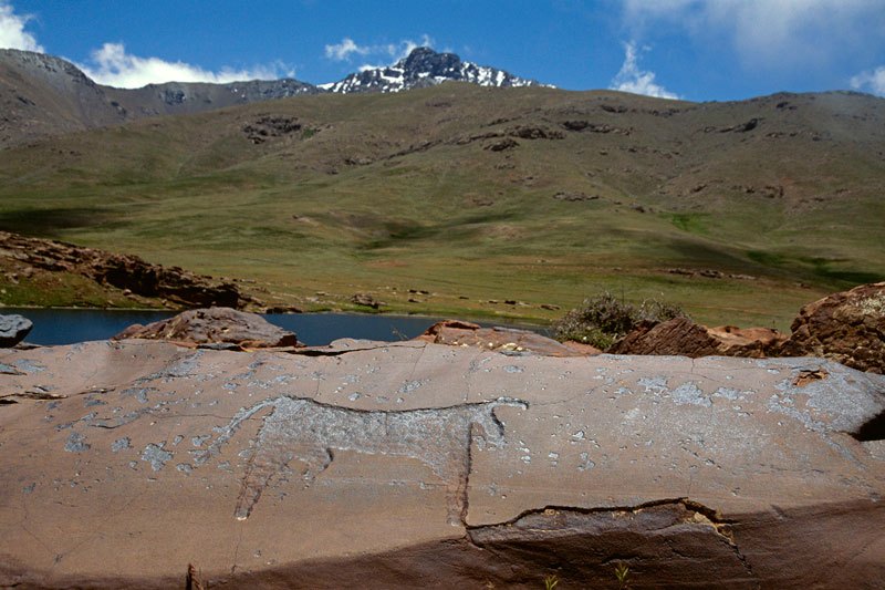 Atlas Mountains, Morocco. Engraving on a wide sandstone slab of a domestic bull with deliberately deformed horns, facing right. Oukaimeden Reservoir can be seen above the rock and in the distance lies a snow covered peak of the Atlas Mountains. Image ID: moratm0130050