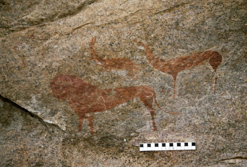 2 bichrome springbok facing left, and below them a polychrome lion