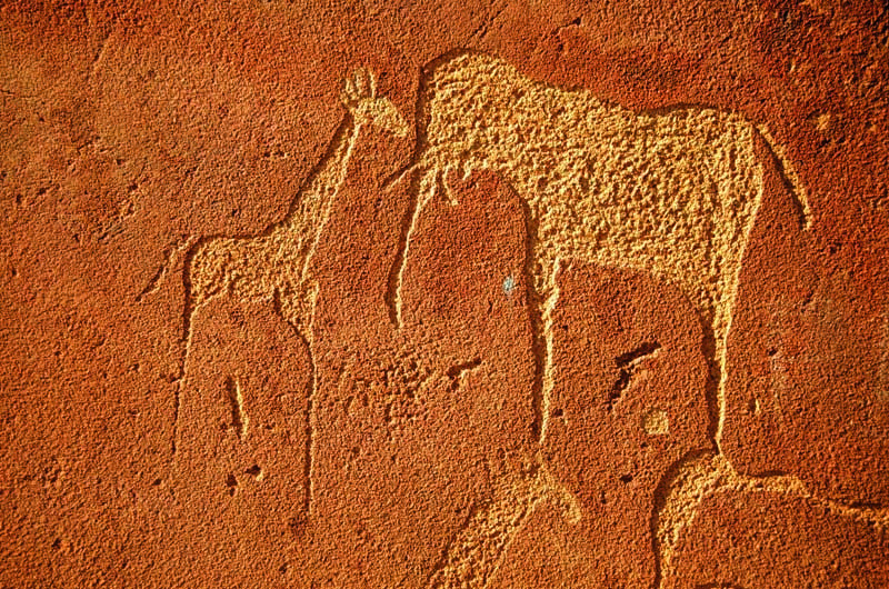 Detail of the many animal engraved panel at Twyfelfontein