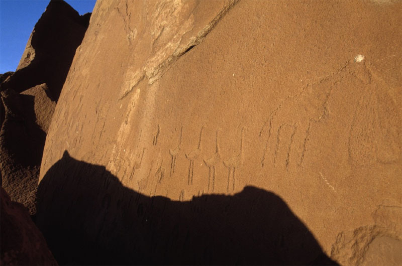 A row of pecked ostriches line the wall in a Twyfelfontein site