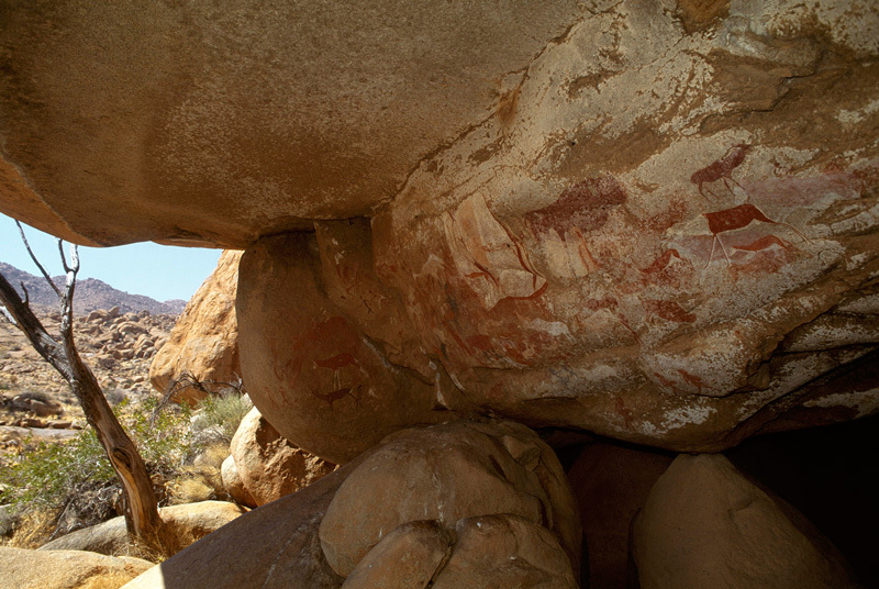 Large numbers of polychrome Bushman/San paintings at a site high on the Brandberg massif. Delicate images of antelope can be seen as well as an elephant and human figures. Image ID: nambrh0010002