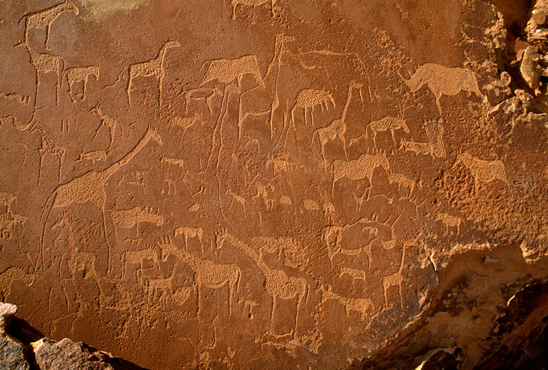 Important panel of animal engravings which include rhino, elephant, giraffe and zebra as well as human and animal footprints/tracks. These engravings are probably at least 2,000 years old and are believed to have been made by Bushman/San hunter gatherers. Image ID: namdmt0010004