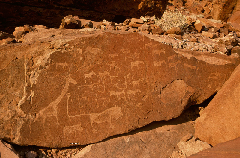 Panel with carols animal rock engravings in particular a lion facing right with "pug marks" (lion footprints at the end of each leg and one oat the end of his tail. Image ID: namdmt0010016