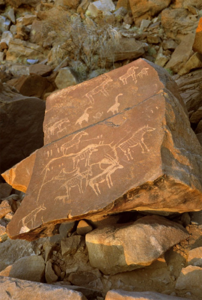 Twyfelfontein engravings of zebra and other animals