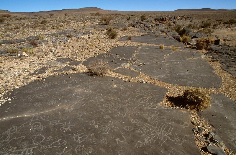 Aar Farm, Namibia. Glaciated sandstone pavement decorated with numerous geometric designs that include ovals, divided ovals, circles joined by lines, circles with rays, circles containing crosses, crossed lines, curved lines and more complicated shapes. Image ID: namsna0010001