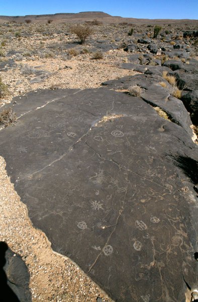 Aar Farm, Namibia. Engraving include ‘star’, two concentric circles, and circles containing ‘spokes’, crosses and small grids. Bottom right are some lightly block-pecked unidentifiable shapes. Image ID: namsna0010003