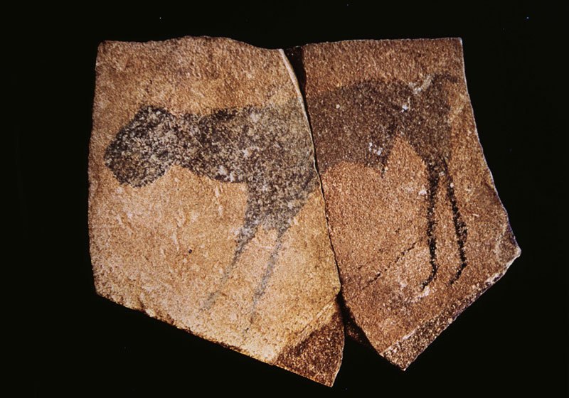 Huns Mts, Namibia. Stone plaquette with painting of animal excavated in Apollo 11 Cave and dated to about 27 years ago. Image ID: namsnh0010019