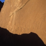 A row of pecked ostriches line the wall in a Twyfelfontein site