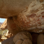 Large numbers of polychrome Bushman/San paintings at a site high on the Brandberg massif. Delicate images of antelope can be seen as well as an elephant and human figures. Image ID: nambrh0010002