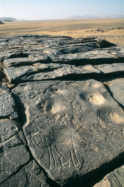Djaba, Niger. Ground depressions. Elephant facing left superimposes depression (Early Hunter Period). Depressions circled by double line. Image ID: nigdjd0040014
