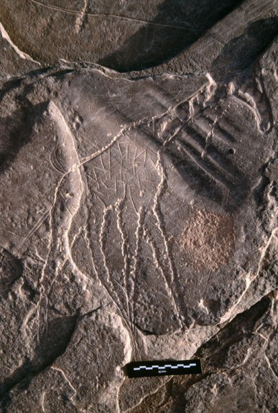 Djaba, Niger. Pecked outline engraving of giraffe with some lightly incised decoration on body (Pastoral Period). Scale bar. Image ID: nigdjd0040047