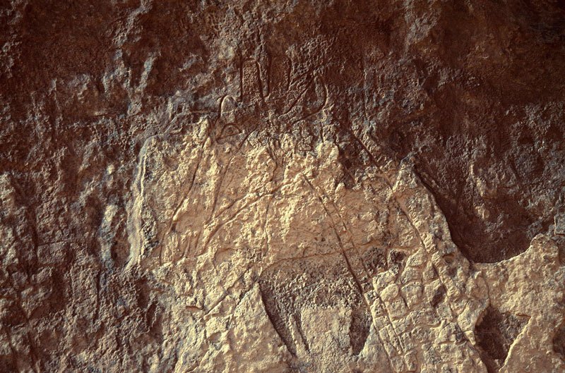 Djaba, Niger. Block-pecked and recessed cow with deliberately deformed horns superimposing neck of decorated giraffe. Head of Decorated giraffe. Image ID: nigdjd0080007