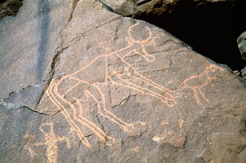 Air Mountain, Niger. Domestic bull and dog. Head of reptile. Image ID: nigeam0010005