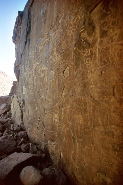 Air Mountain, Niger. Oblique view of large engraved panel including giraffe and animals with square bodies, horse and Tifinagh script. Horse Period. Image ID: nigeam0010027
