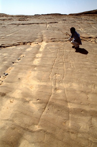 Northern Air Mountain. Engraving over five metres long of man facing forwards. Small engravings at sides of man level with hips and chest include animals, pair of ‘sandals’, possible person under right arm, and geometric designs. Image ID: nignam0020008