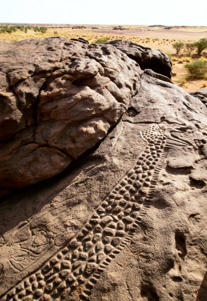 Western Air Mountains, Niger. Larger giraffe’s polished face with wavy line, suspended figure and Libyco-Berber script. Image ID: nigwam0010108
