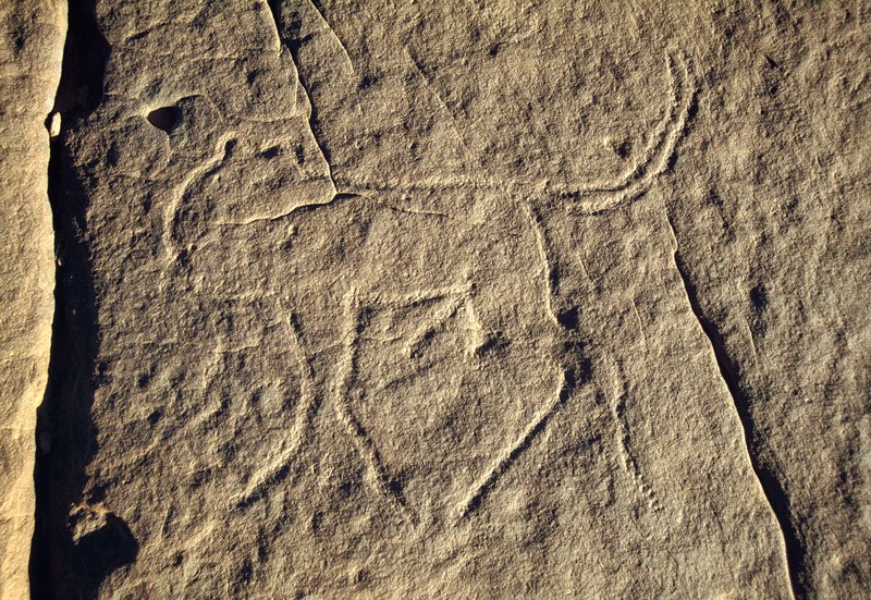 Western Air Mountains, Niger. Incised outline of lion in running left. Image ID: nigwam0080017