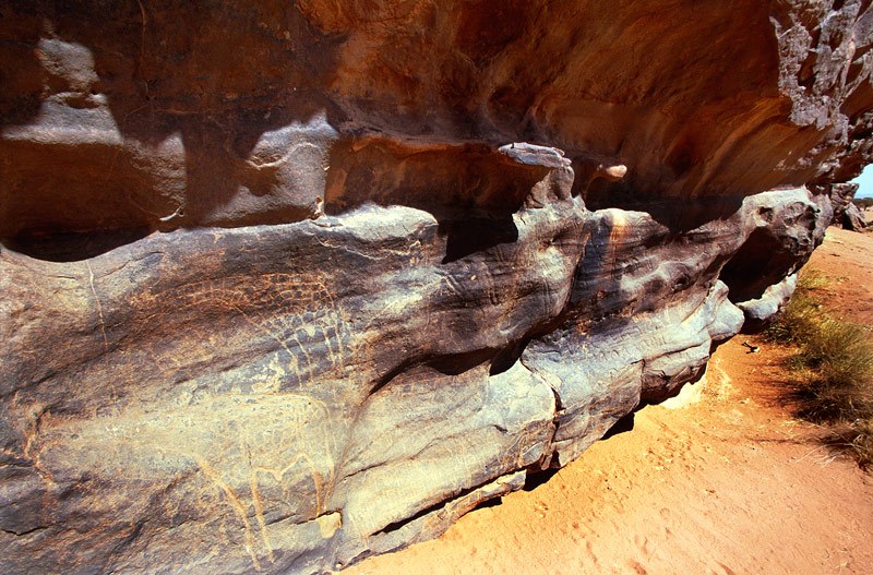 Western Air Mountains, Niger. Panel below waterfall of engraved horses mounted by schematic thin figures, polished outlines. Note damage caused by residue of chemical latex used to mould engravings. Horse/Camel Period. Image ID: nigwam0110006
