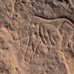 Djaba, Niger. Incised engraving of rhinoceros facing left (Early Hunter Period) Cupules. Image ID: nigdjd0040029