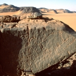 Djaba, Niger. On boulder lying on inselberg summit, two outline engravings of white rhinoceros facing right. Scale bar. Image ID: nigdjd0060006