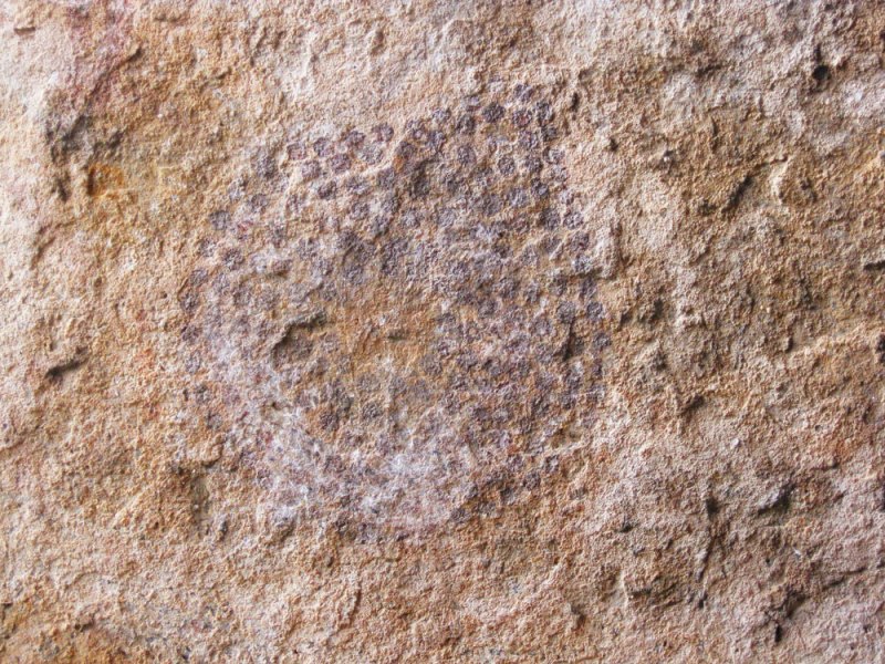 Painting on the wall of the cave