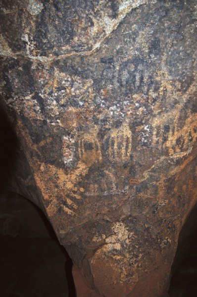 Dhayamole. Near duplicate with scale bars of close-ups of four giraffe. Image ID: somdha0020013